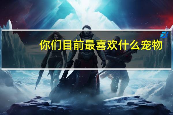 你们目前最喜欢什么宠物