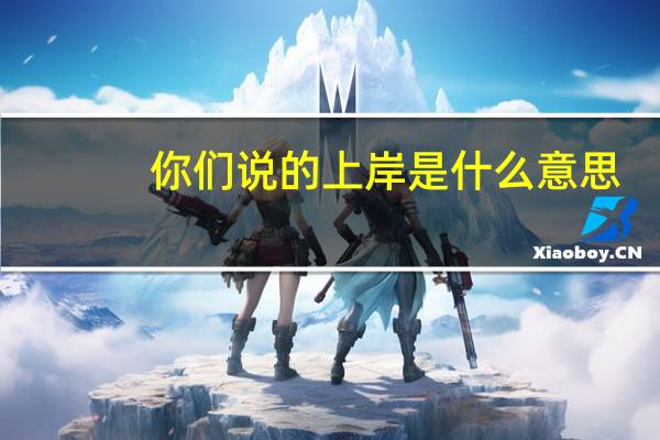 你们说的上岸是什么意思