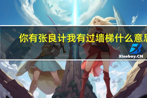 你有张良计我有过墙梯什么意思