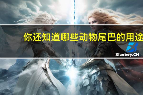 你还知道哪些动物尾巴的用途