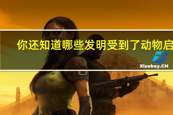 你还知道哪些发明受到了动物启发
