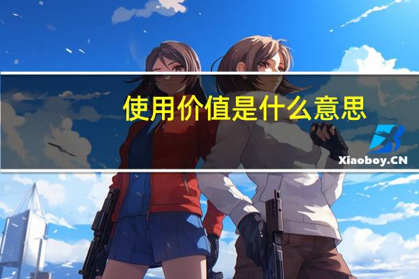 使用价值是什么意思