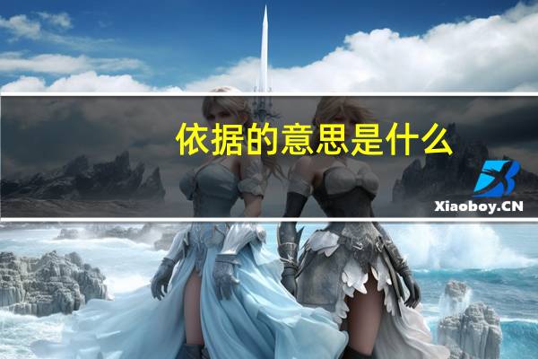 依据的意思是什么