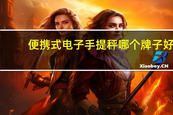 便携式电子手提秤哪个牌子好