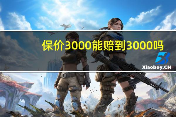 保价3000能赔到3000吗