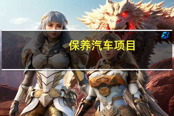 保养汽车项目