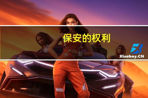 保安的权利