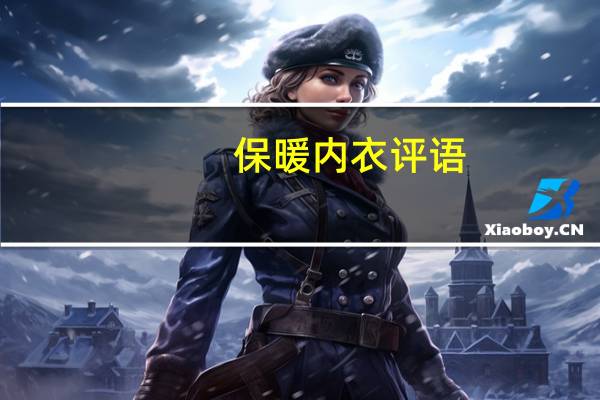 保暖内衣评语