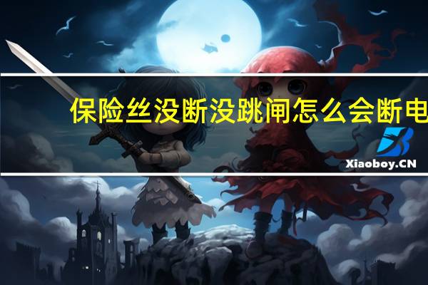 保险丝没断没跳闸怎么会断电