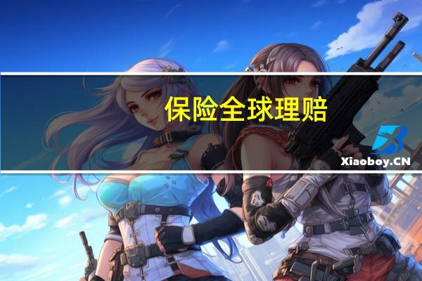 保险全球理赔