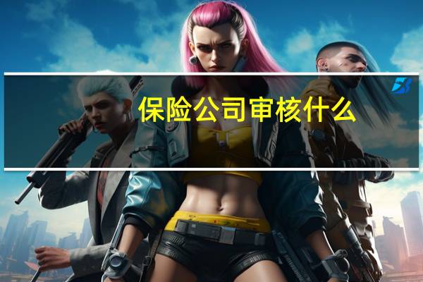 保险公司审核什么