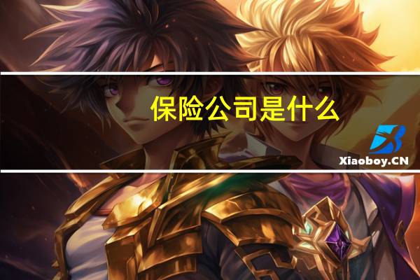 保险公司是什么