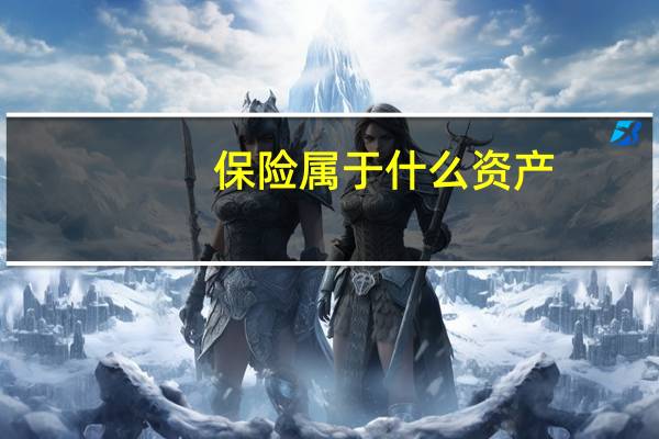保险属于什么资产