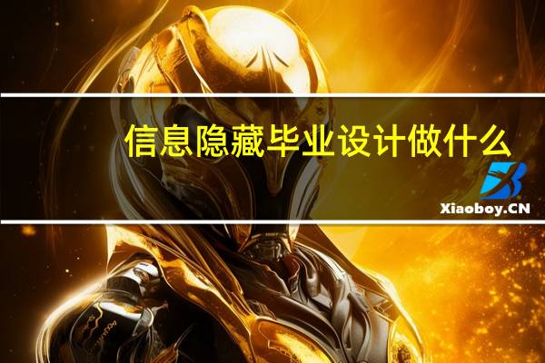 信息隐藏毕业设计做什么