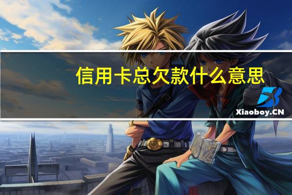 信用卡总欠款什么意思