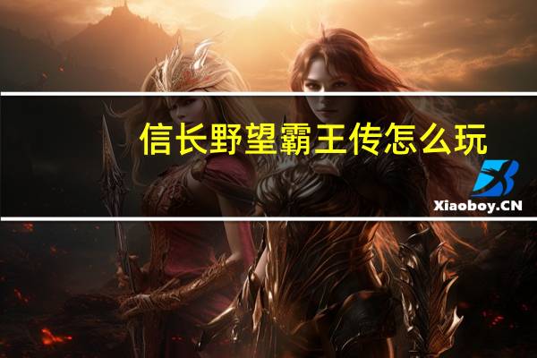 信长野望霸王传怎么玩