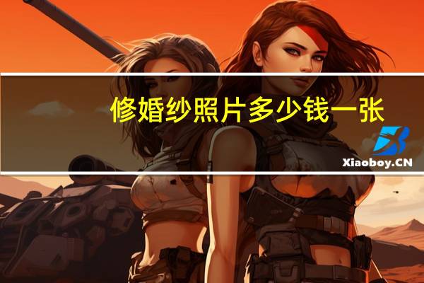 修婚纱照片多少钱一张