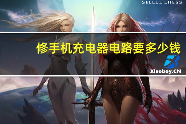 修手机充电器电路要多少钱