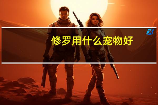 修罗用什么宠物好