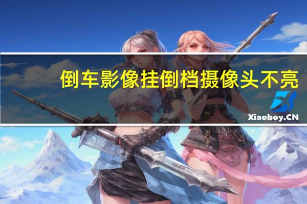 倒车影像挂倒档摄像头不亮