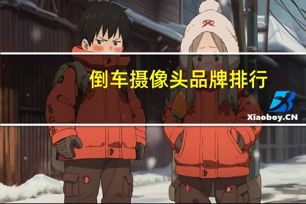 倒车摄像头品牌排行