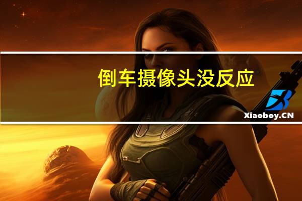 倒车摄像头没反应