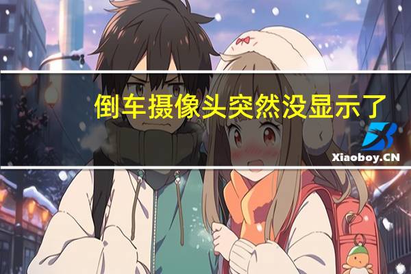 倒车摄像头突然没显示了