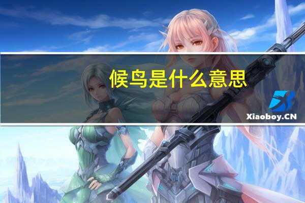 候鸟是什么意思