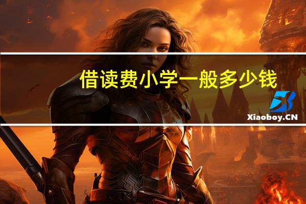 借读费小学一般多少钱