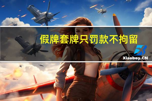 假牌套牌只罚款不拘留