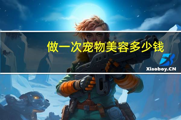 做一次宠物美容多少钱