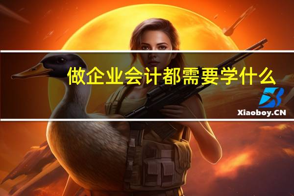 做企业会计都需要学什么