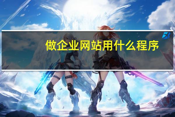 做企业网站用什么程序