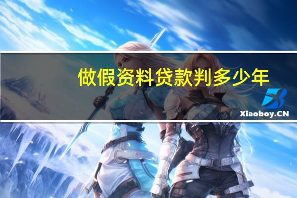 做假资料贷款判多少年