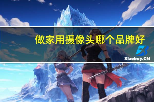 做家用摄像头哪个品牌好