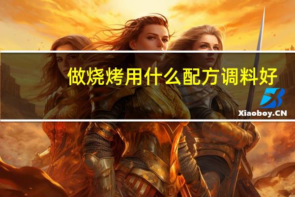 做烧烤用什么配方调料好