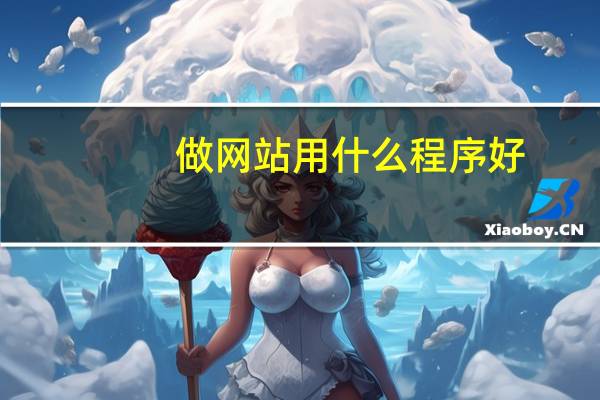 做网站用什么程序好