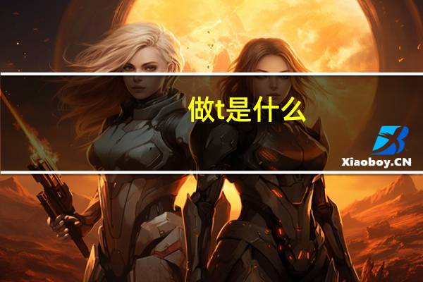 做t是什么