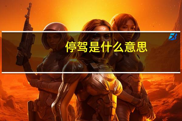 停驾是什么意思