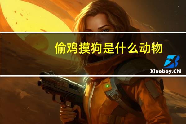 偷鸡摸狗是什么动物