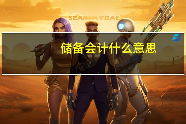 储备会计什么意思