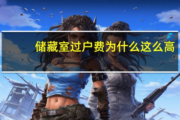 储藏室过户费为什么这么高