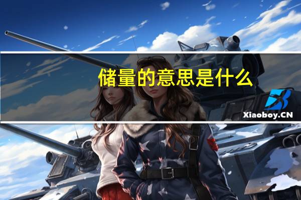 储量的意思是什么