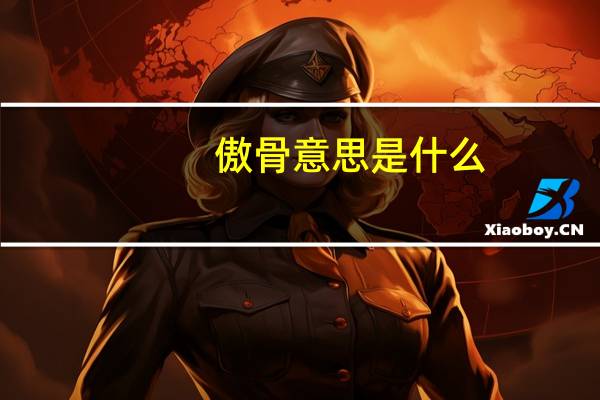 傲骨意思是什么