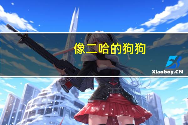 像二哈的狗狗