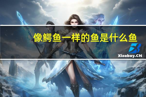 像鳄鱼一样的鱼是什么鱼