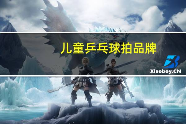 儿童乒乓球拍品牌