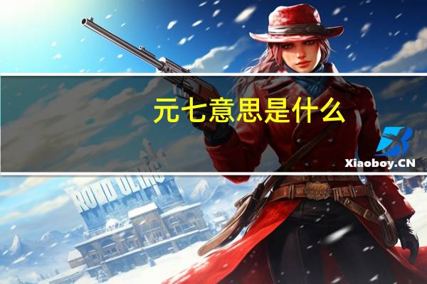 元七意思是什么