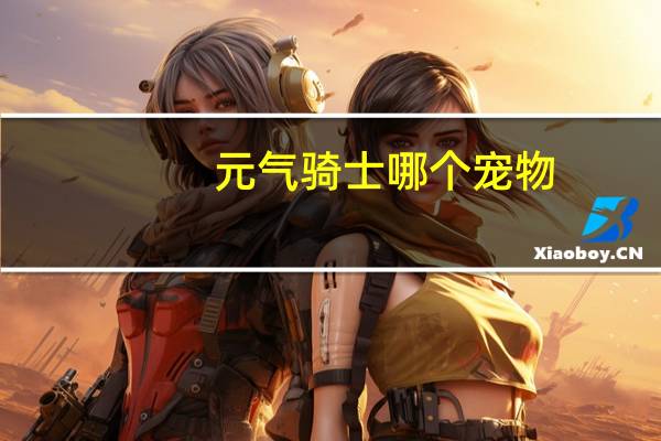 元气骑士哪个宠物