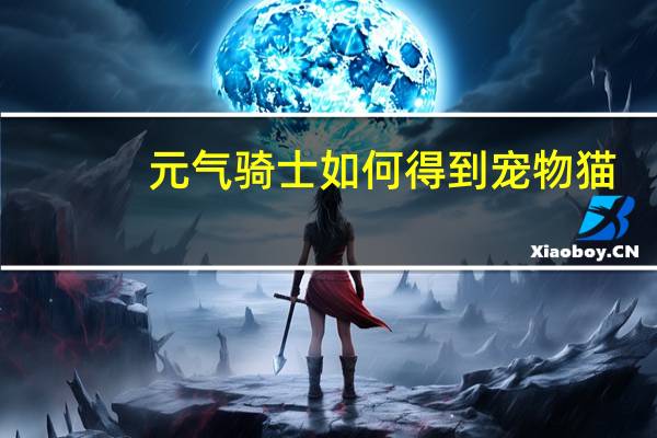 元气骑士如何得到宠物猫